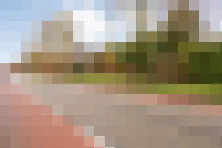 Oosteinde 3 Marknesse thumbnail 8