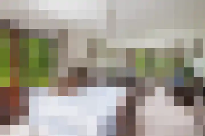 Oosteinde 32 a Waarder thumbnail 11