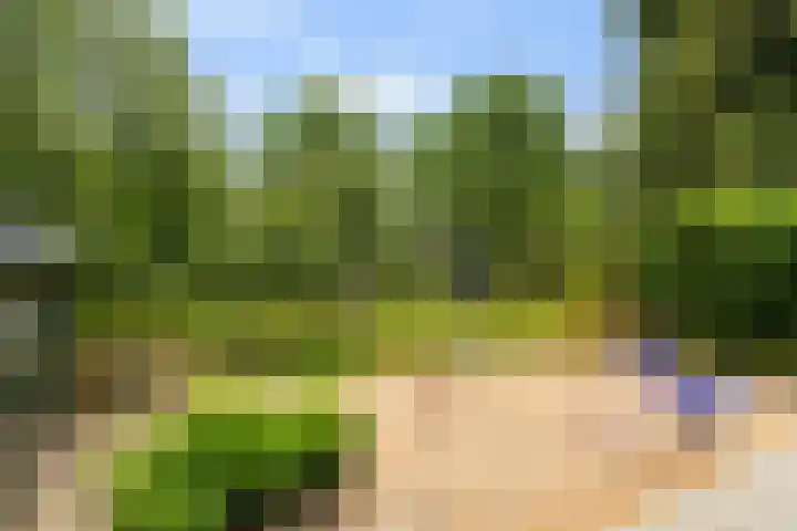 Oosteinde 32 a Waarder thumbnail 16