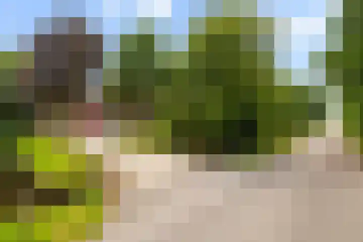 Oosteinde 32 a Waarder foto 3