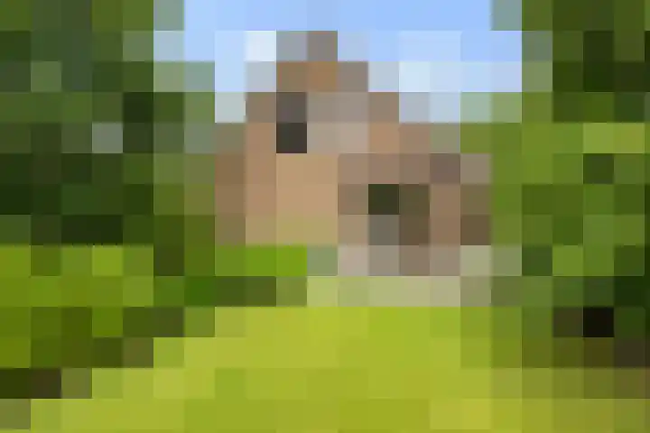 Oosteinde 32 a Waarder thumbnail 38