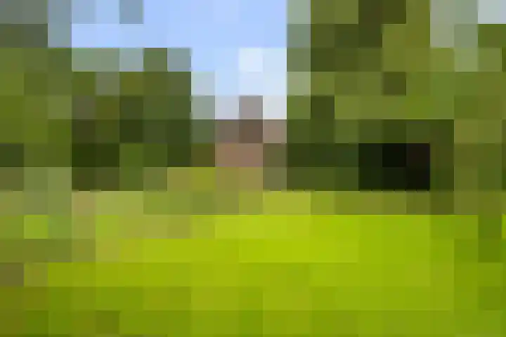 Oosteinde 32 a Waarder thumbnail 39
