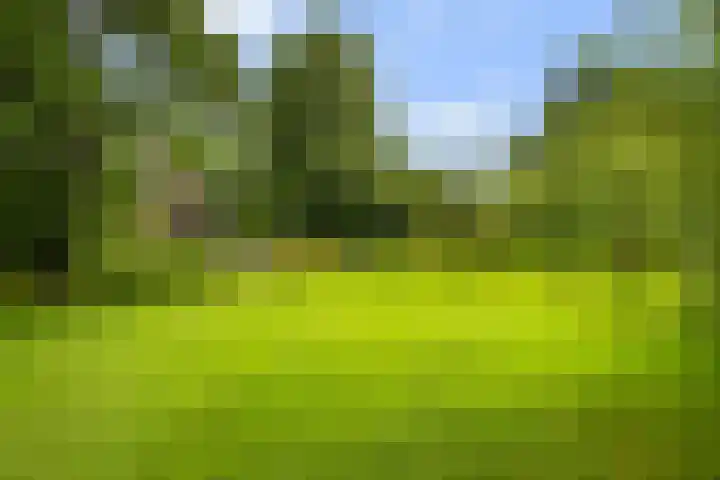 Oosteinde 32 a Waarder thumbnail 42