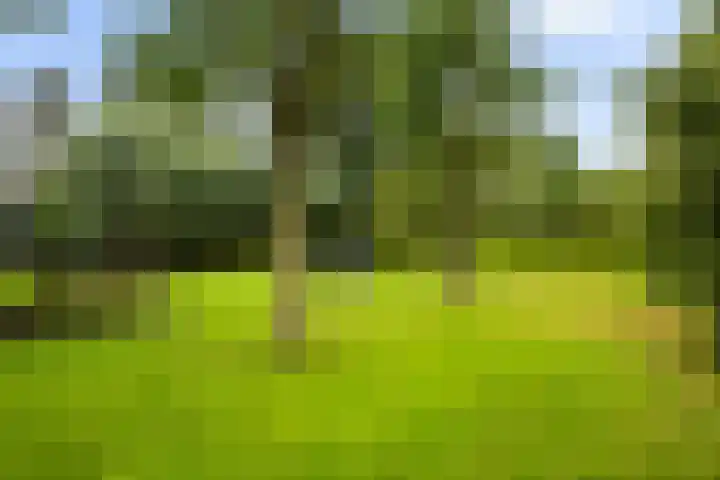 Oosteinde 32 a Waarder thumbnail 43