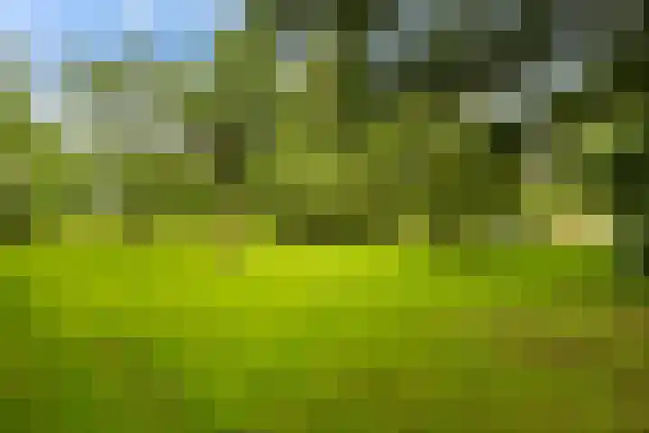 Oosteinde 32 a Waarder thumbnail 44