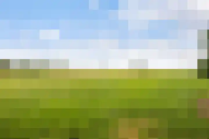 Oosteinde 32 a Waarder thumbnail 45