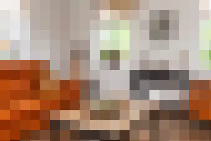 Oosteinde 37 a Oud-Alblas thumbnail 13