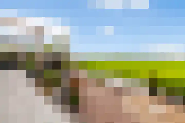 Oosteinde 37 a Oud-Alblas thumbnail 66