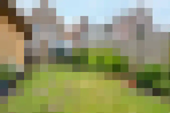 Oosteinde 37 Wormer thumbnail 15