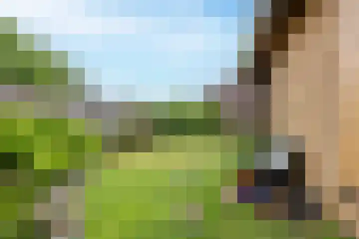 Oosteinde 37 Wormer thumbnail 16