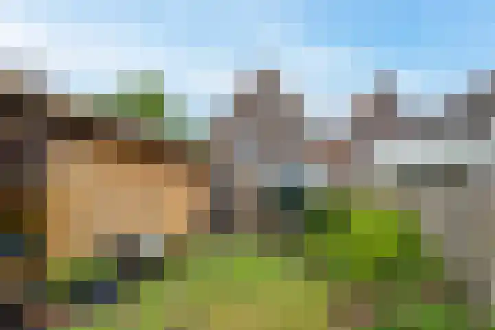 Oosteinde 37 Wormer thumbnail 17