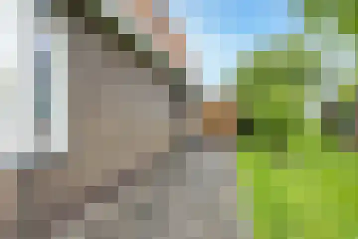 Oosteinde 37 Wormer thumbnail 42