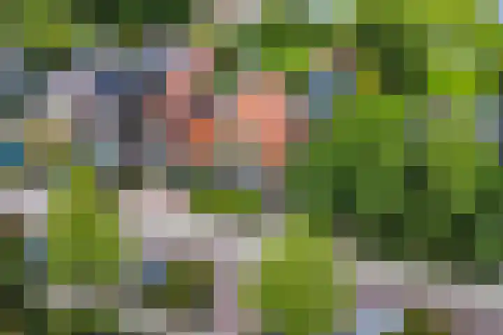 Oosteinde 37 Wormer thumbnail 46