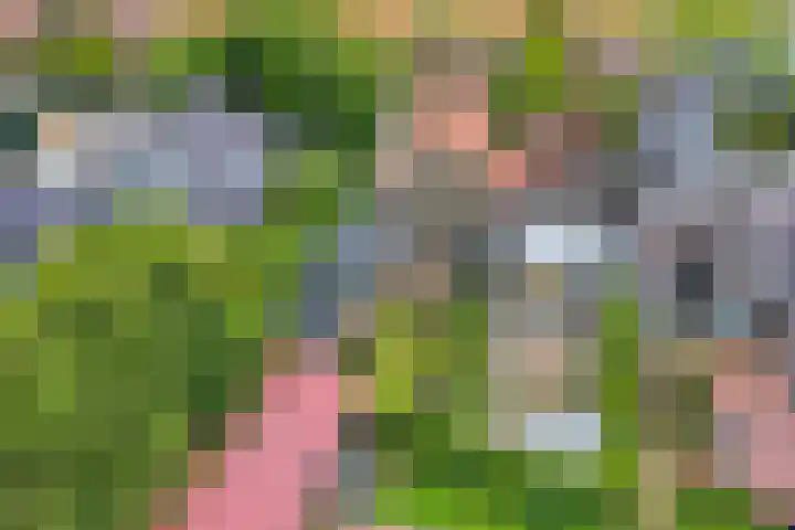 Oosteinde 37 Wormer thumbnail 47