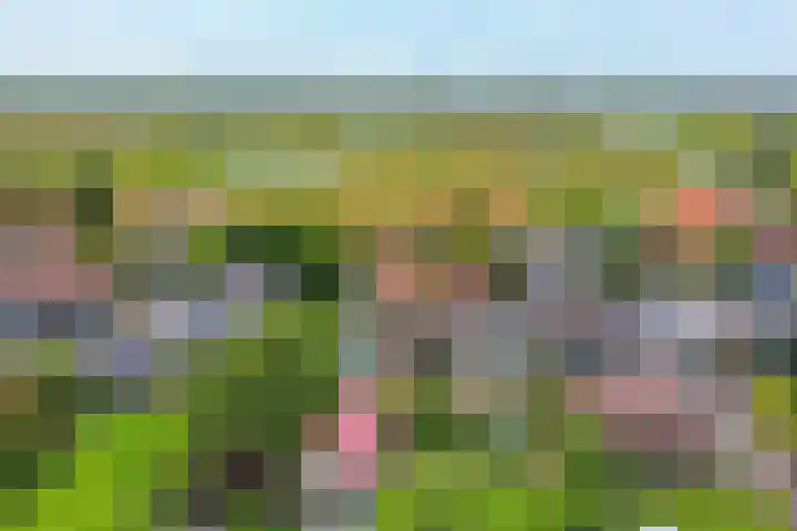 Oosteinde 37 Wormer thumbnail 48