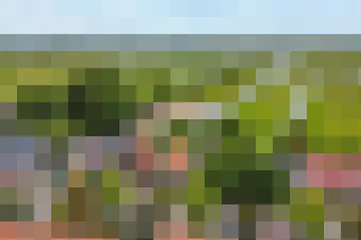 Oosteinde 37 Wormer thumbnail 53