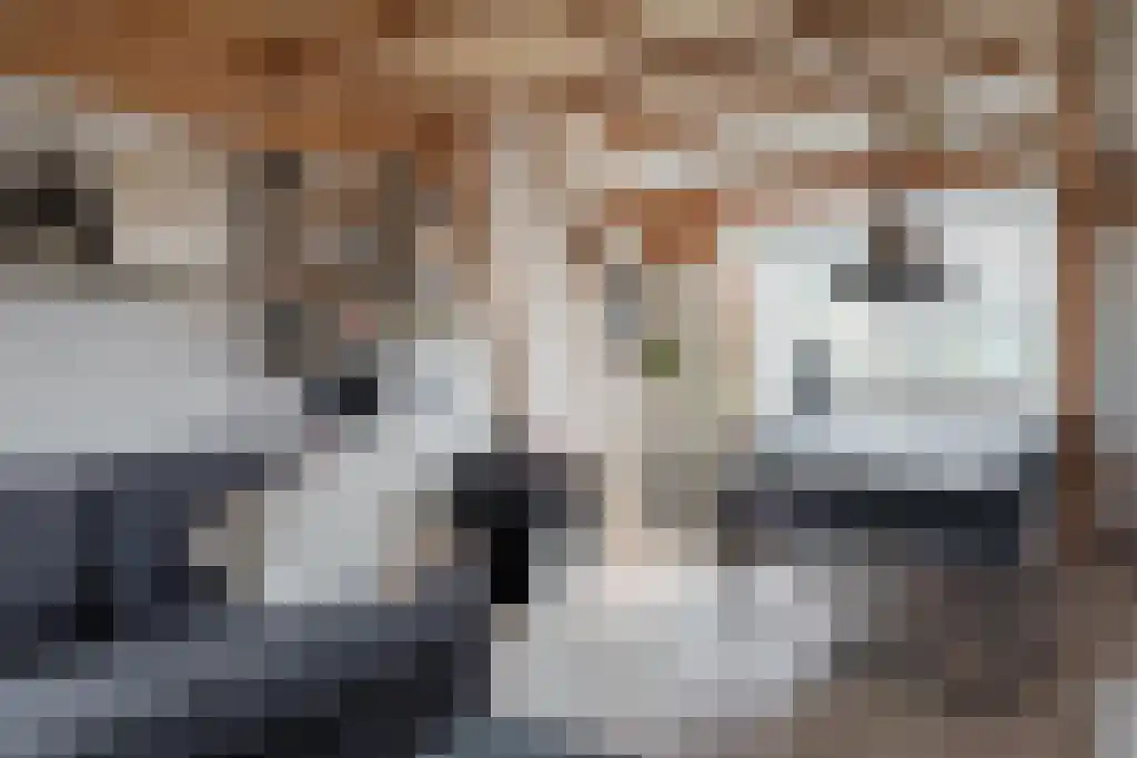 Oosteinde 40 Berkhout thumbnail 19