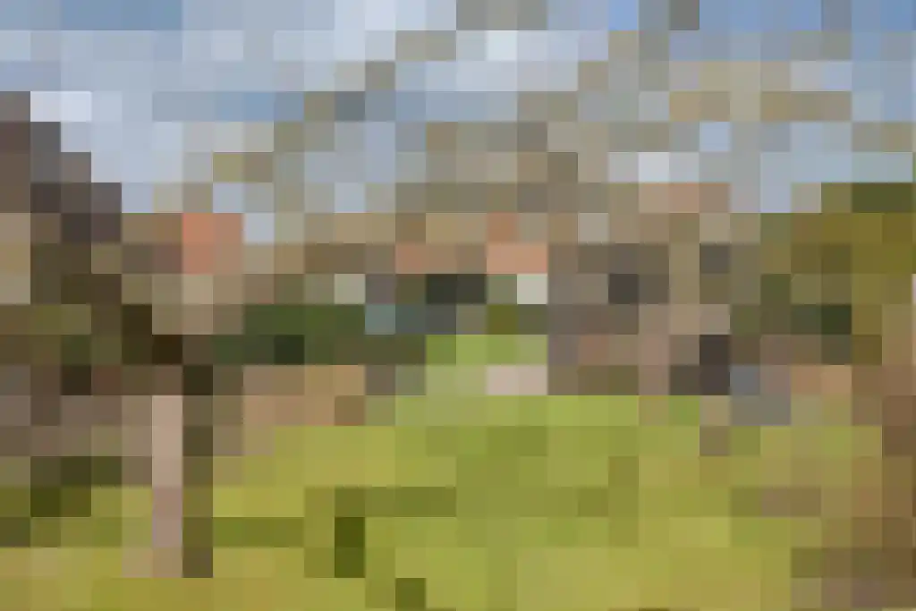 Oosteinde 40 Berkhout thumbnail 23