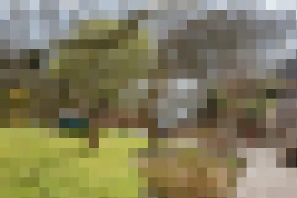 Oosteinde 40 Berkhout thumbnail 24