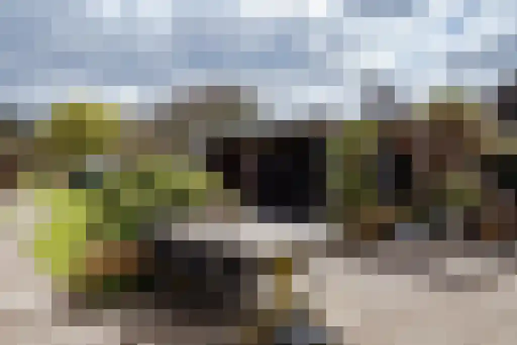 Oosteinde 40 Berkhout thumbnail 4