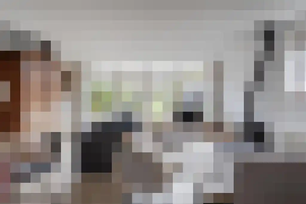 Oosteinde 40 Berkhout thumbnail 5