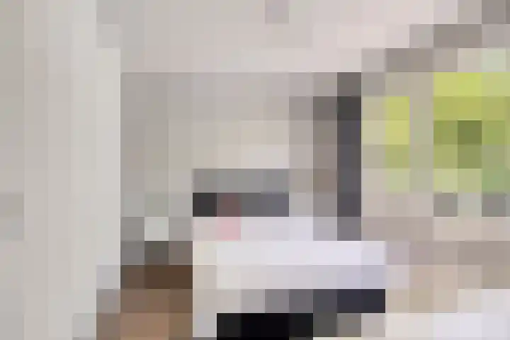 Oosteinde 44 Zevenaar thumbnail 25