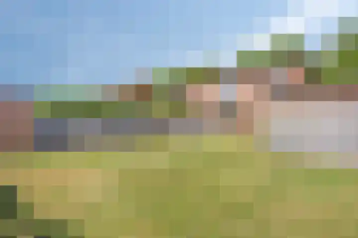 Oosteinde 44 Zevenaar thumbnail 28