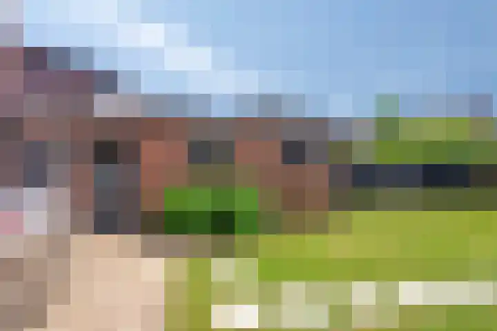Oosteinde 44 Zevenaar thumbnail 29