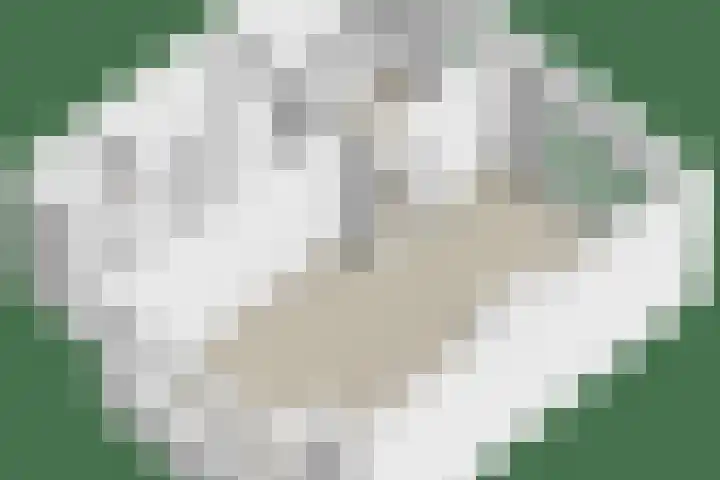 Oosteinde 44 Zevenaar thumbnail 34