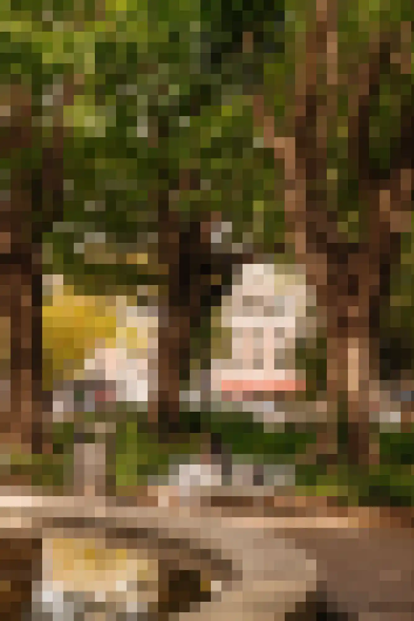 Oosteinde 5 B Amsterdam thumbnail 34