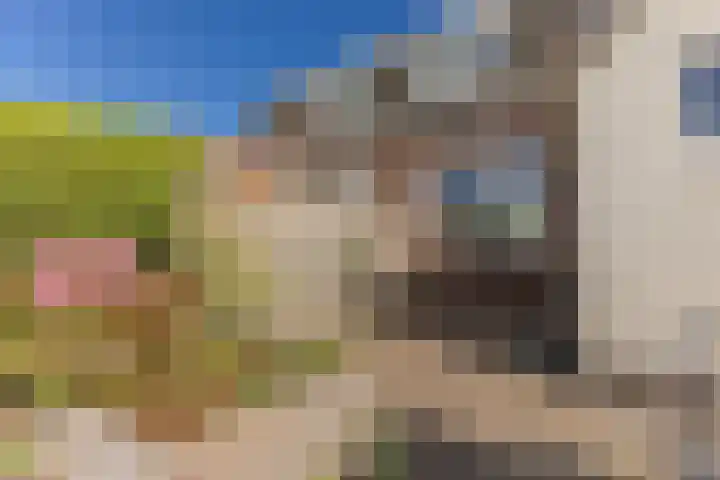 Oosteinde 54 Wormer thumbnail 18