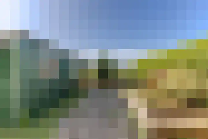Oosteinde 54 Wormer thumbnail 19