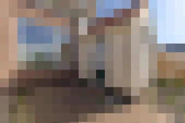 Oosteinde 54 Wormer thumbnail 20