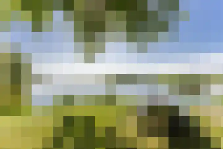 Oosteinde 54 Wormer thumbnail 24
