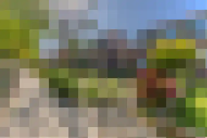 Oosteinde 54 Wormer thumbnail 29