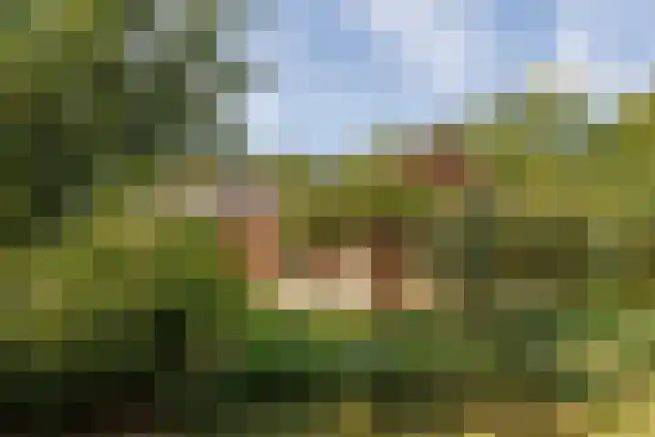 Oosteinde 54 Wormer thumbnail 7