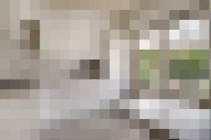 Oosteinde 62 Zevenaar thumbnail 19