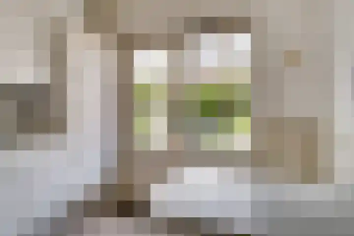 Oosteinde 62 Zevenaar thumbnail 21
