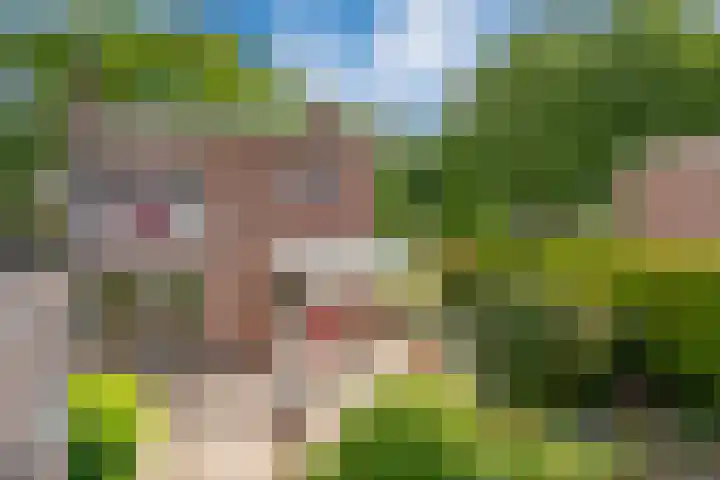 Oosteinde 62 Zevenaar thumbnail 33