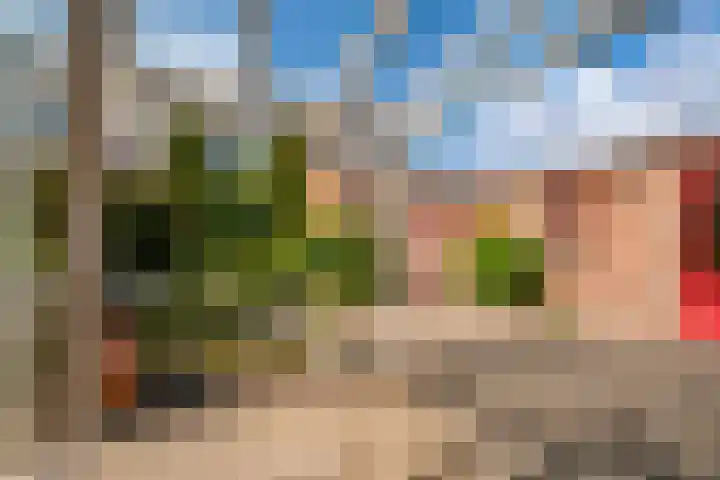 Oosteinde 62 Zevenaar thumbnail 35