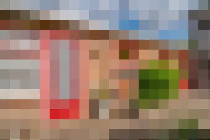 Oosteinde 62 Zevenaar thumbnail 36
