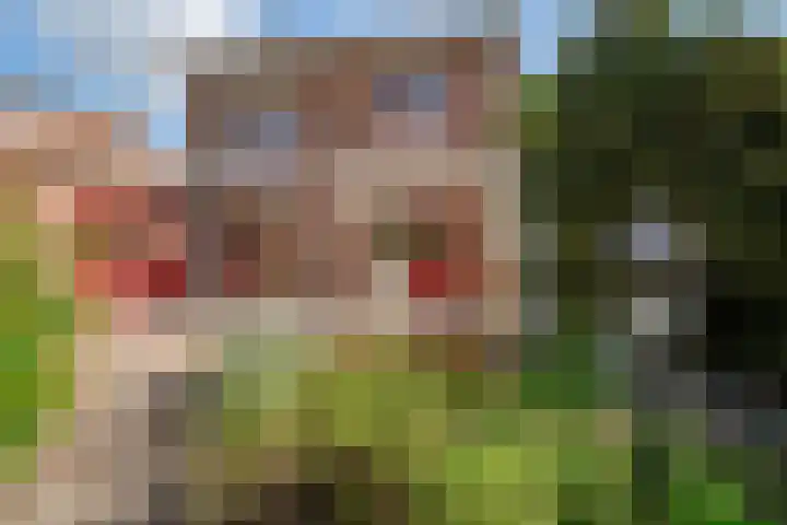 Oosteinde 62 Zevenaar thumbnail 4