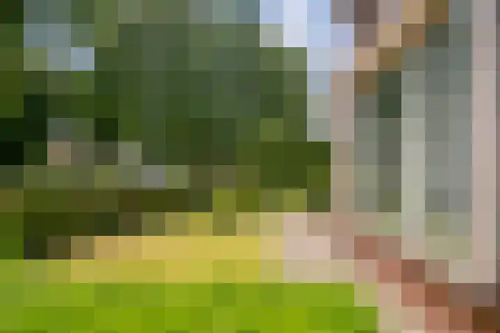Oosteinde 62 Zevenaar thumbnail 7