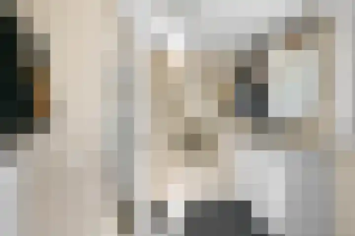 Oosteinde 66 Wormer thumbnail 34