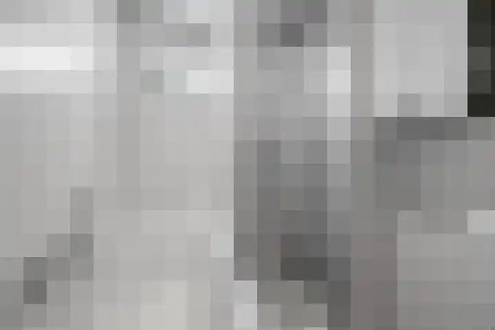 Oosteinde 66 Wormer thumbnail 44