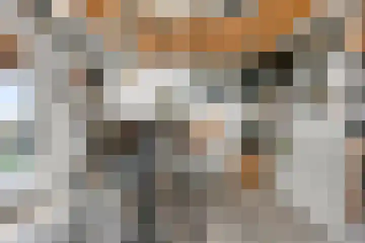 Oosteinde 66 Wormer thumbnail 46