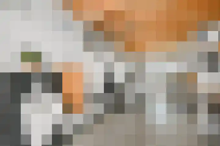 Oosteinde 66 Wormer thumbnail 49