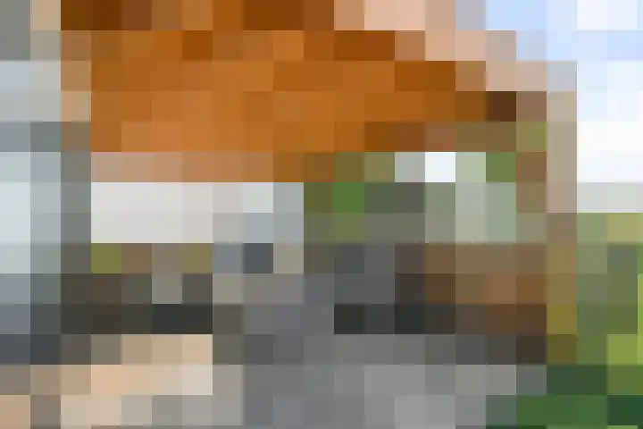 Oosteinde 66 Wormer thumbnail 59