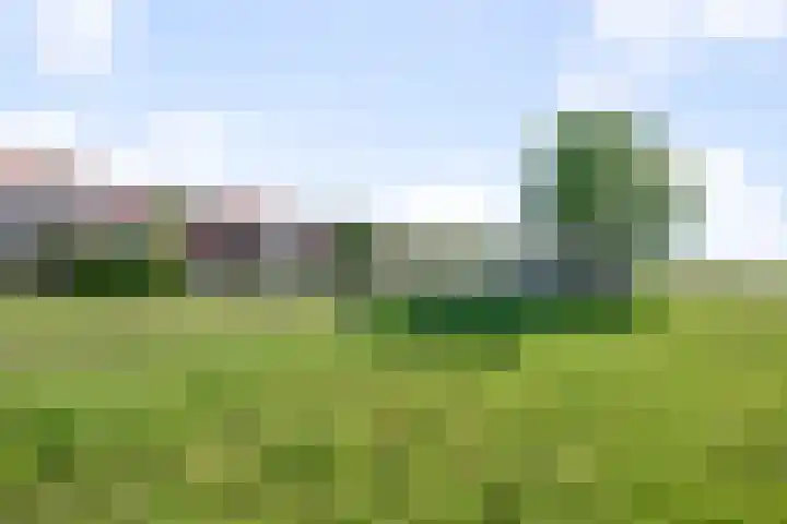 Oosteinde 66 Wormer thumbnail 64