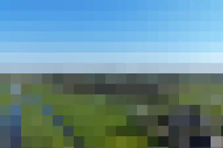 Oosteinde 66 Wormer thumbnail 66